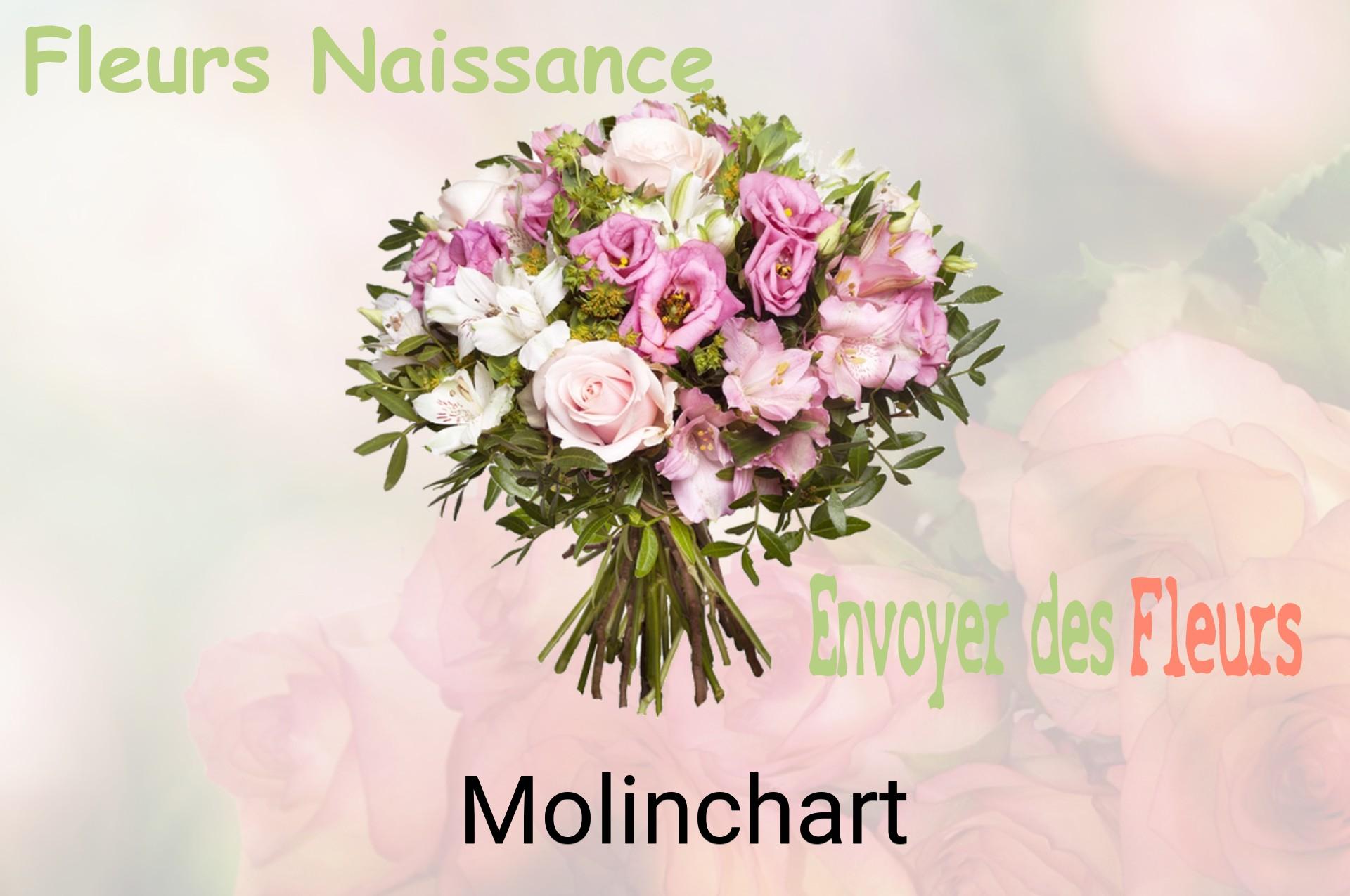 Bouquet de fleurs de naissance livré à Molinchart