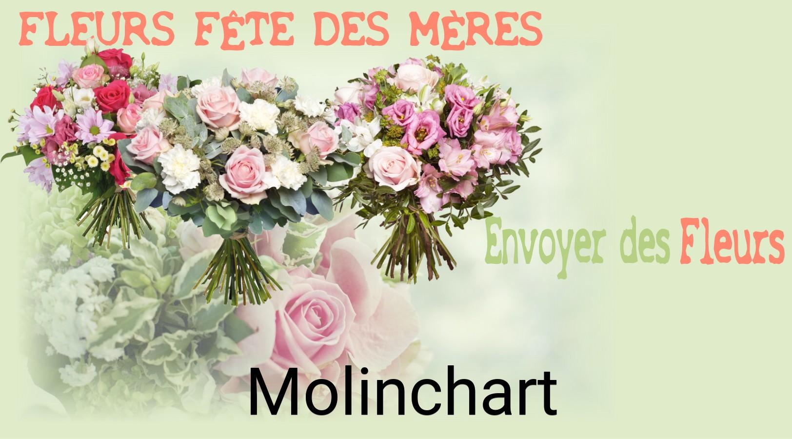 Bouquet de Fête des Mères livré à Molinchart